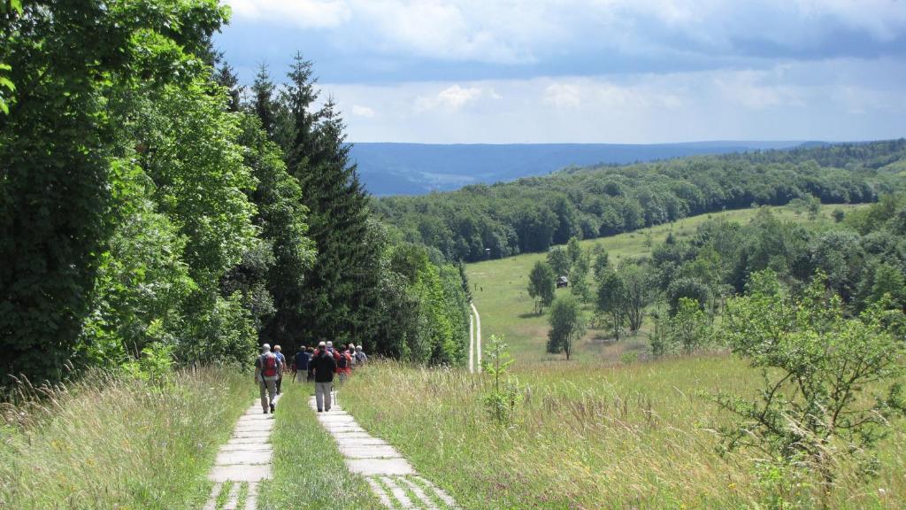 Landhaus Am Westerwald Martinfeld المظهر الخارجي الصورة