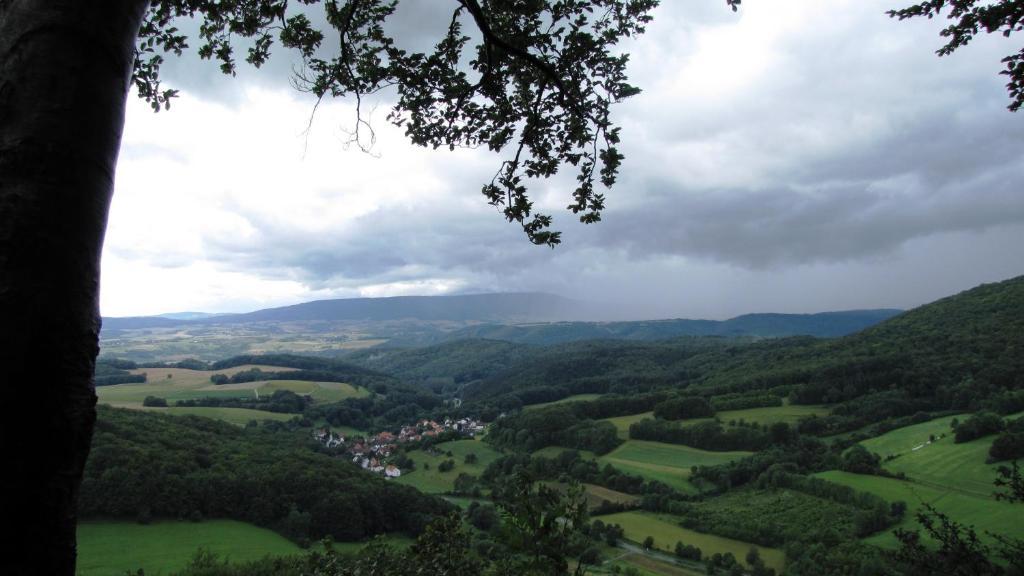 Landhaus Am Westerwald Martinfeld المظهر الخارجي الصورة